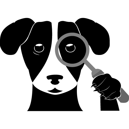 Domain Watchdog